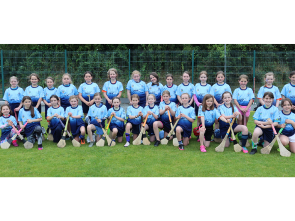 Come & Try Out Camogie for&nbsp;FREE!