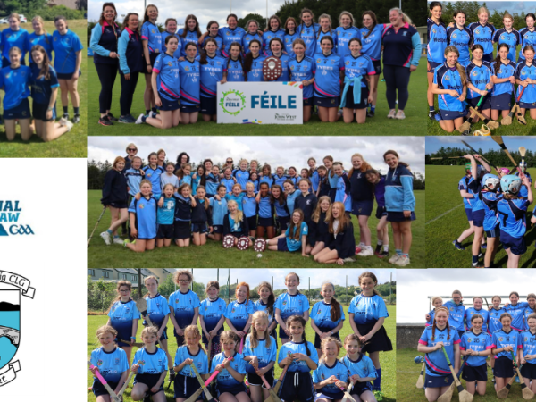 Support Westport Camogie – National Club Draw&nbsp;2023